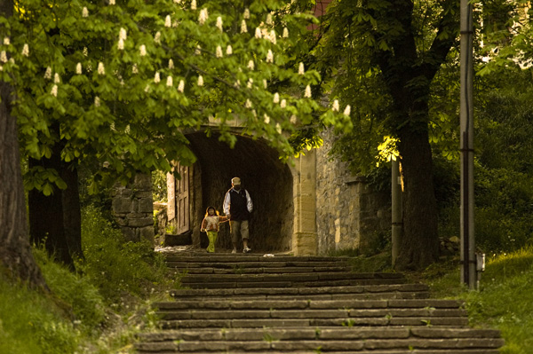 the walk