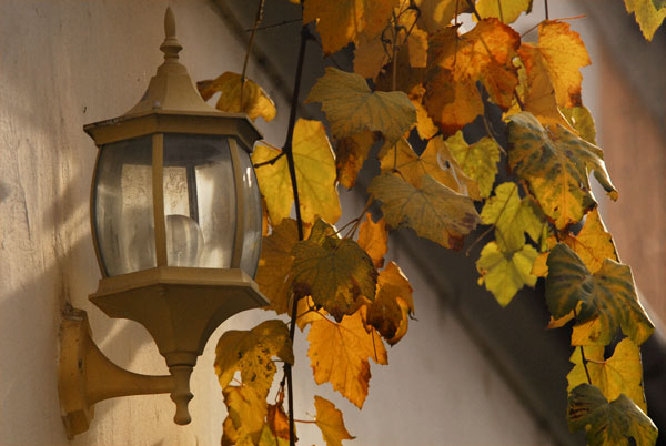 Late autumn