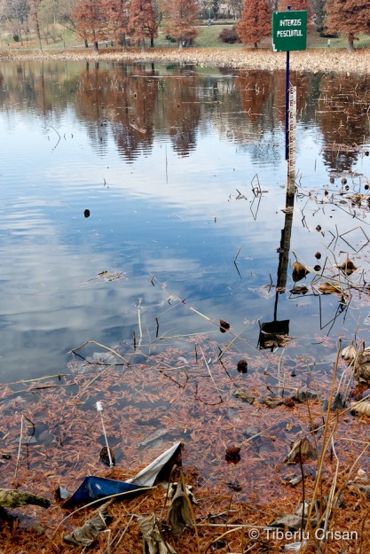 Lacul din Parcul Circului, cu semnul Pescuitul Interzis si umbrela parasita