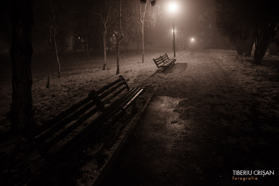 noapte-cu-ceata-in-parc-29