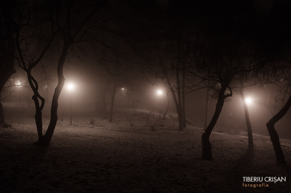 noapte-cu-ceata-in-parc-4