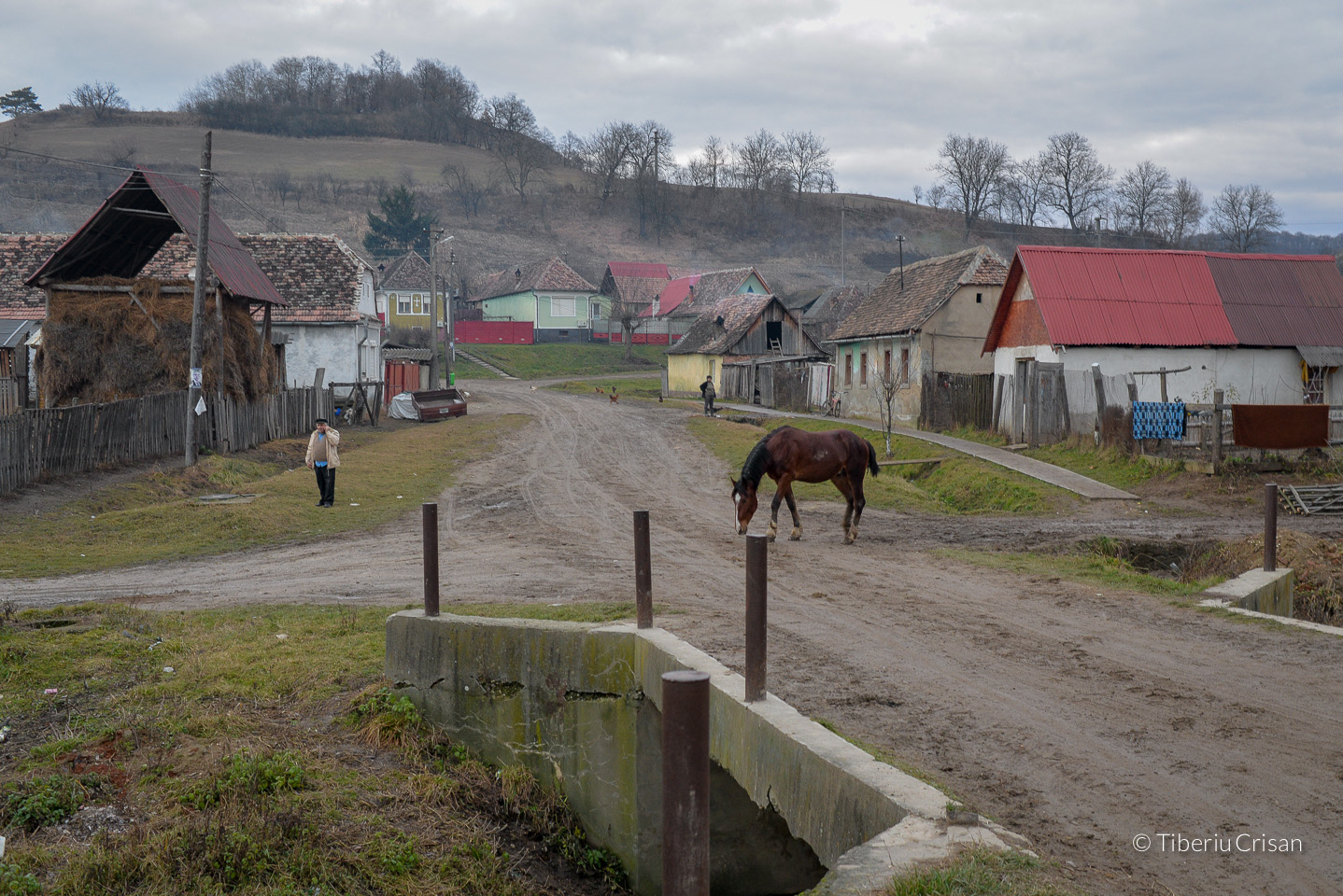 2014-12-17-biertan-038