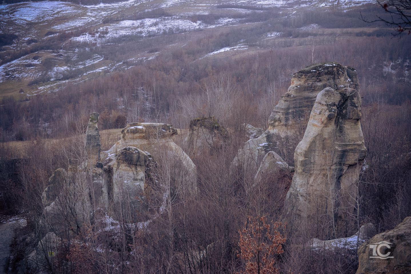 gradina-zmeilor-02-2015-039