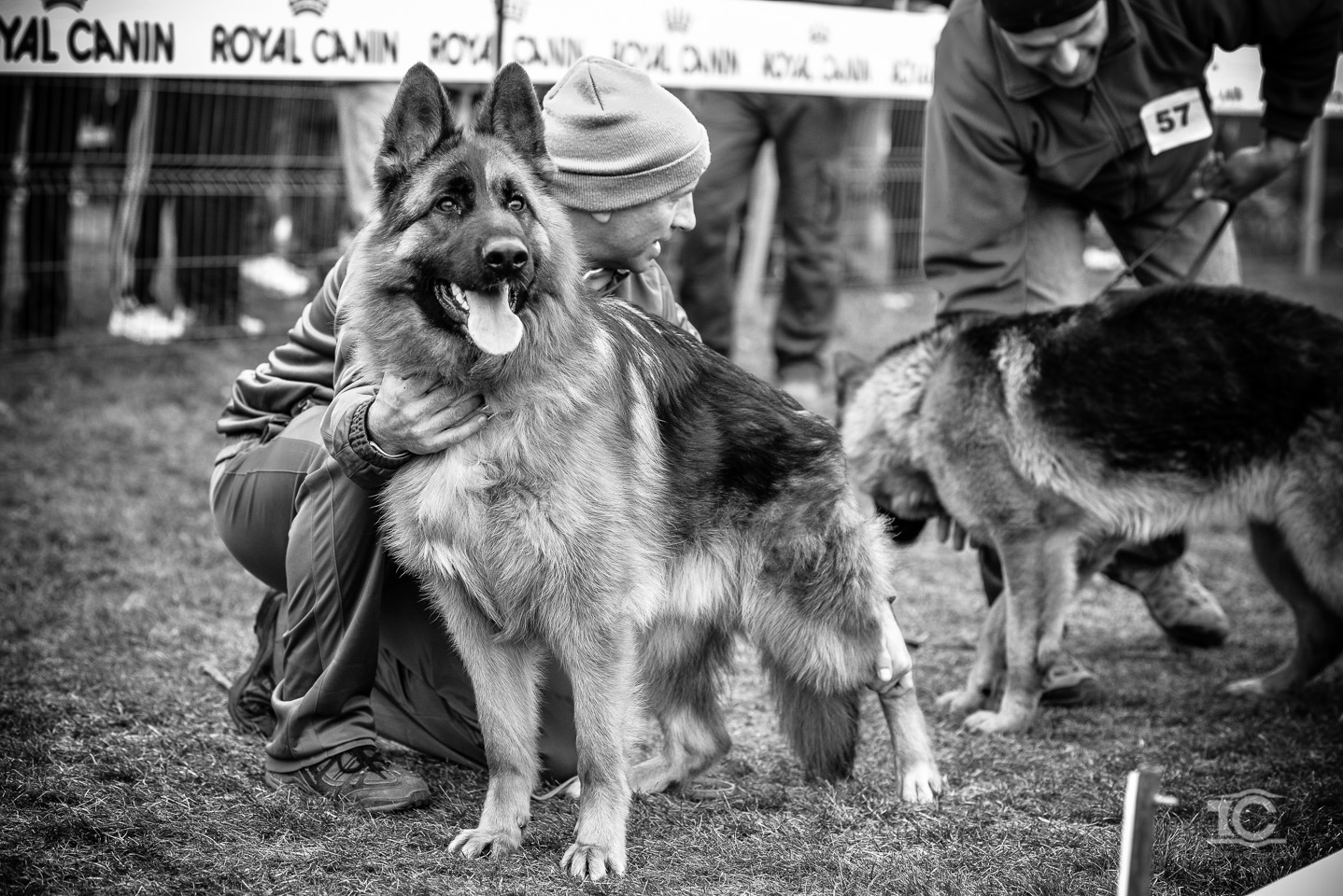 expo-ciobanesc-german-cluj-059