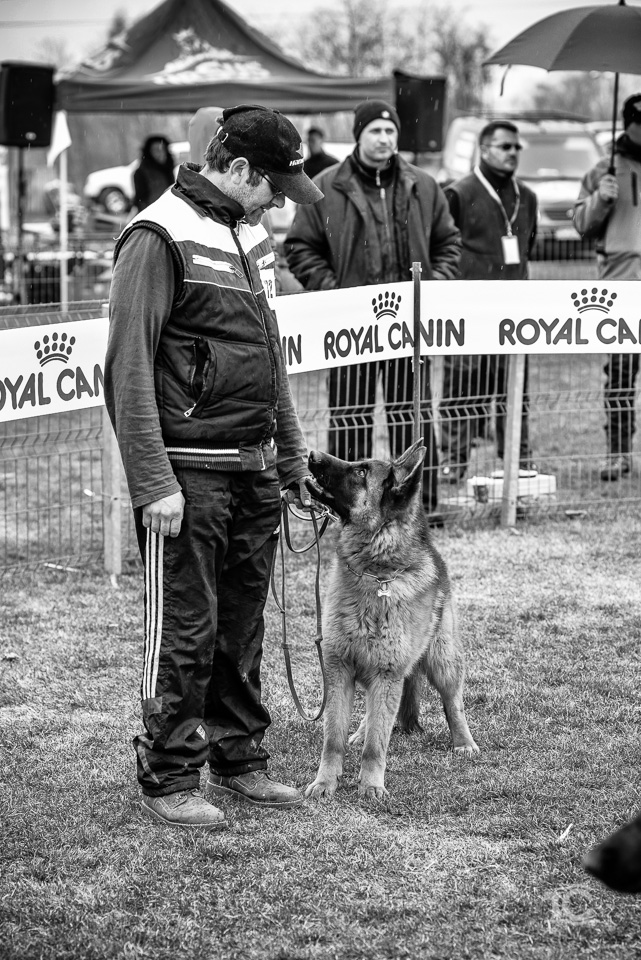 expo-ciobanesc-german-cluj-075