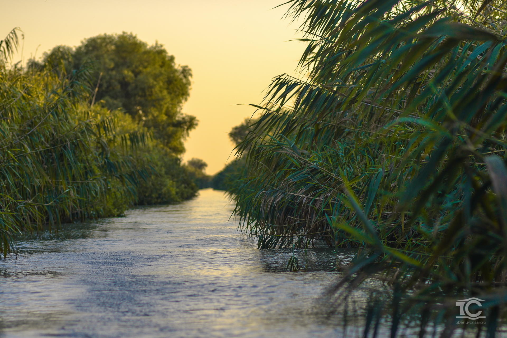 Garla Turceasca, Delta Dunarii