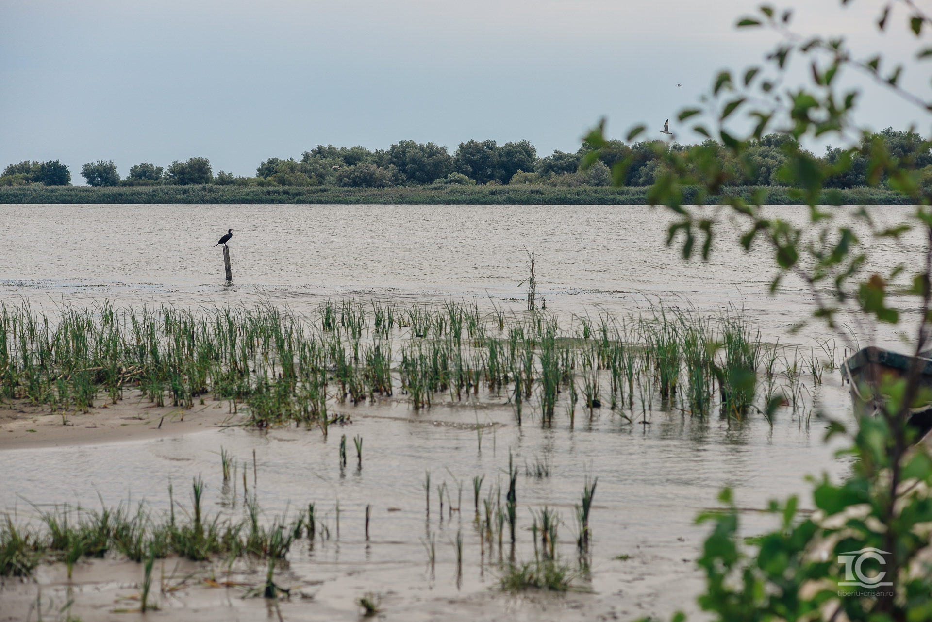 Bratul Sfantu-Gheorghe in Delta